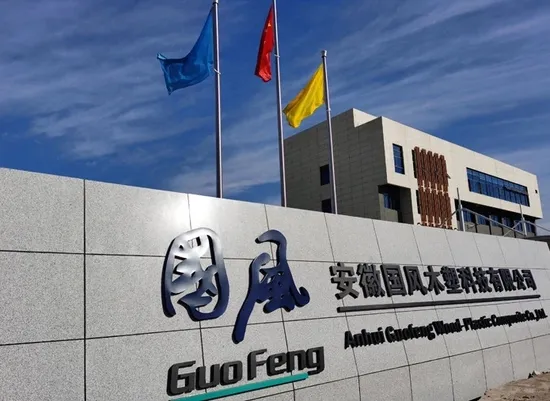 2022 Neuer 3D-WPC-Terrassendielen-Holz-Kunststoff-Verbund-PE-Hohl-Terrassendielen-Bodenbelag für den Außenbereich